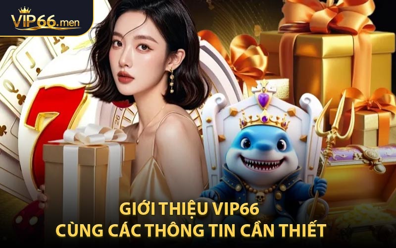 Giới thiệu VIP66 cùng các thông tin cần thiết